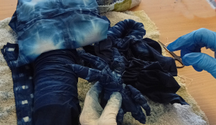 Indigo Tie Dyeing