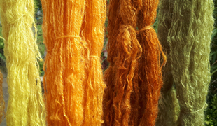 Natural Dyes