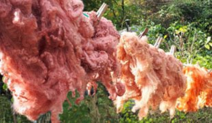 Natural Dyes